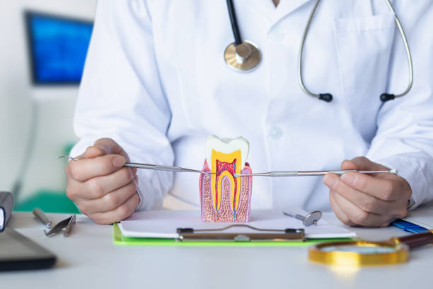 Best Emergency Root Canal Therapy in Prairie Grove, AR